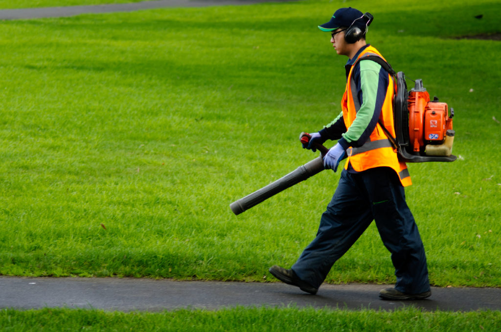 Landscaper operating Leaf Blower