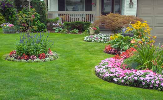 A lush green lawn with borders and colorful flowers